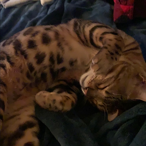 Meet your Posher, Hilaree - Picture 2 of 2